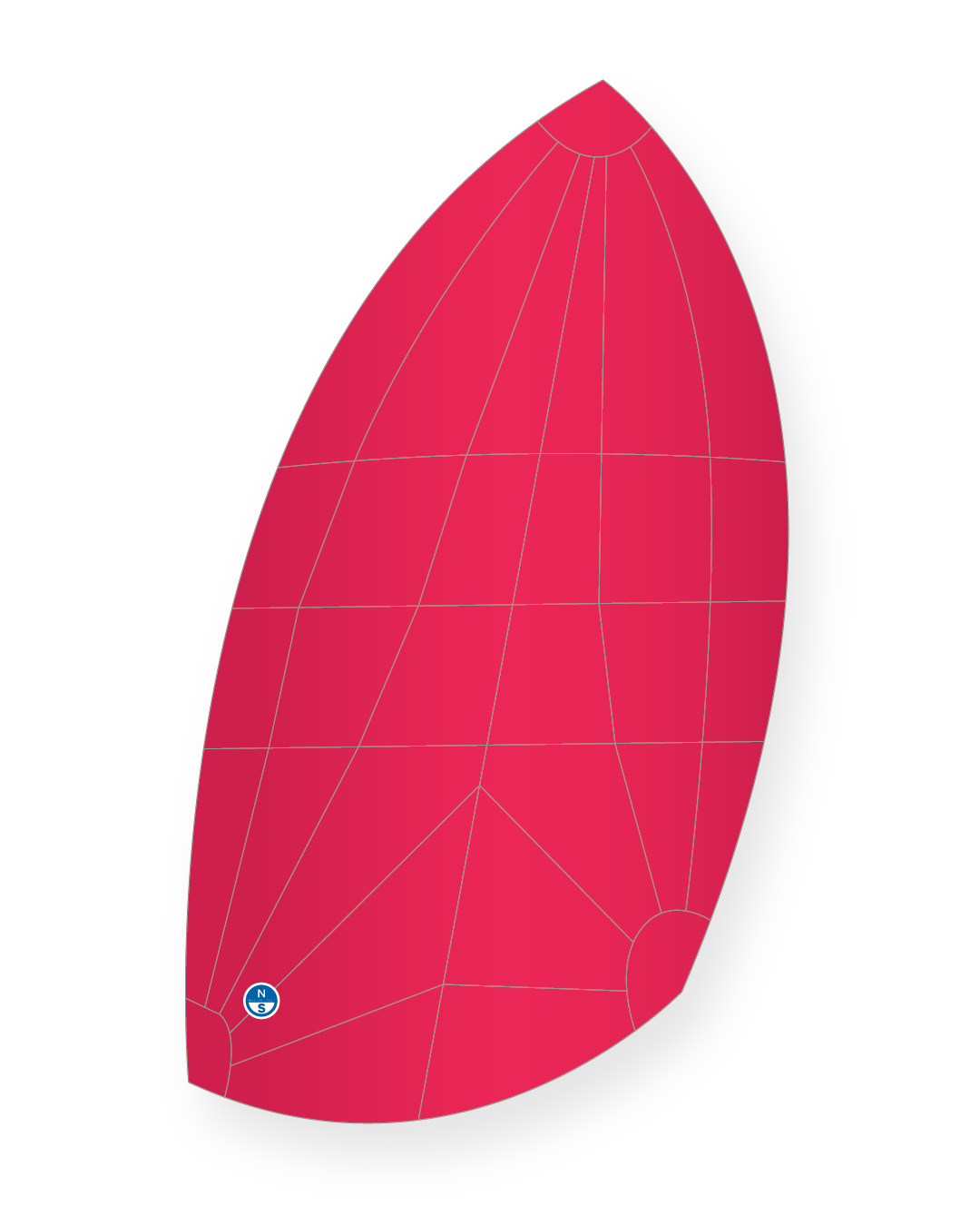 A Scow Whimper Spinnaker