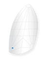 A Scow Whimper Spinnaker